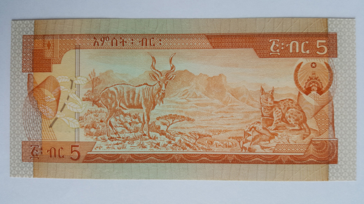 ethiopia-P42a-z.jpg