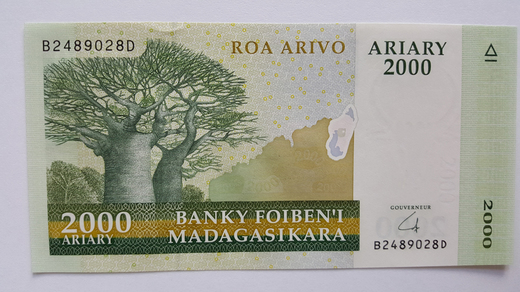 madagaskar-P96-p.jpg