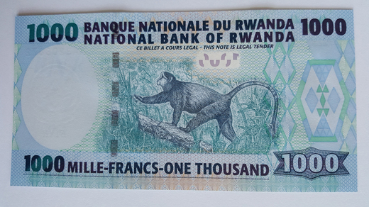 rwanda-P31-z.jpg